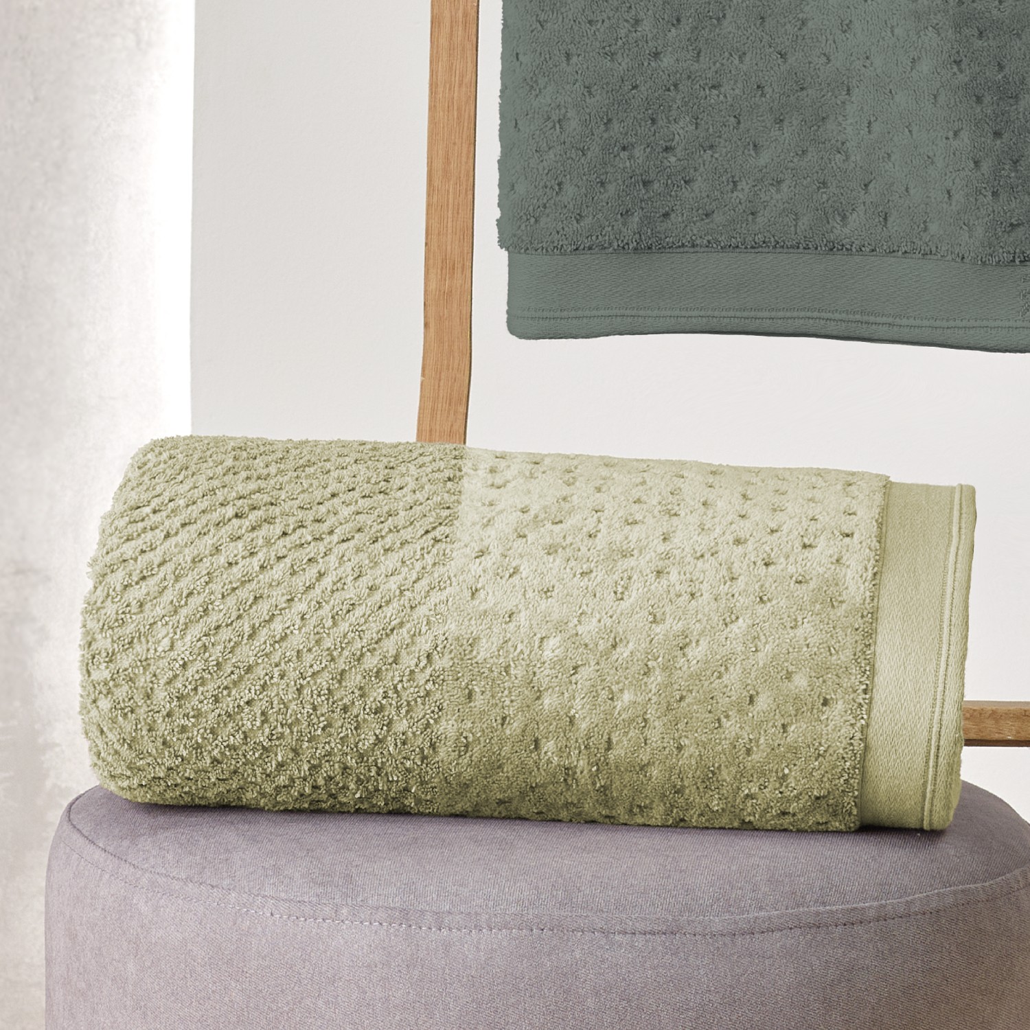 toalha pollo ambiente 2024 1