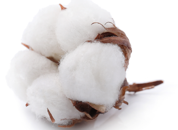 Um produto 100% em Algod&atilde;o