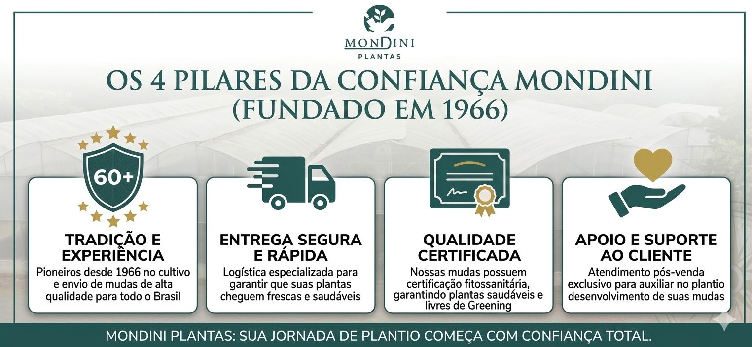 Os 4 pilares de confiança Mondini